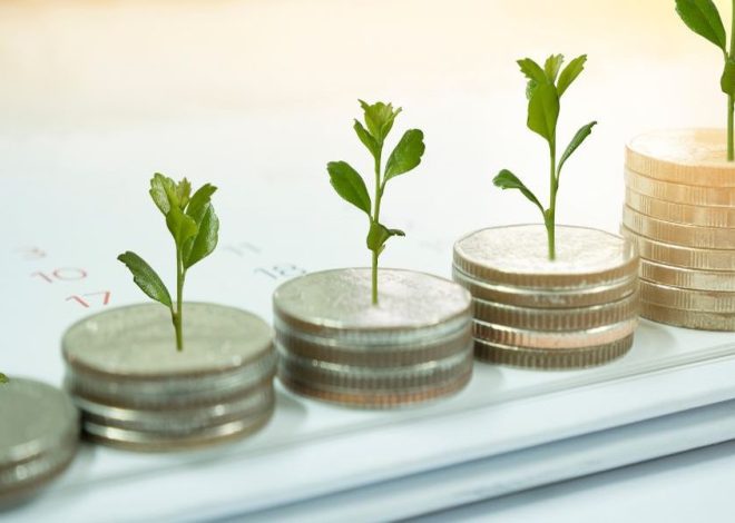 Compare Super Funds: 8 Things to Consider